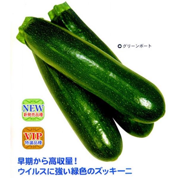 yYbL[jqz@JlRz@@CG[{[g@PO@1{肨͂\