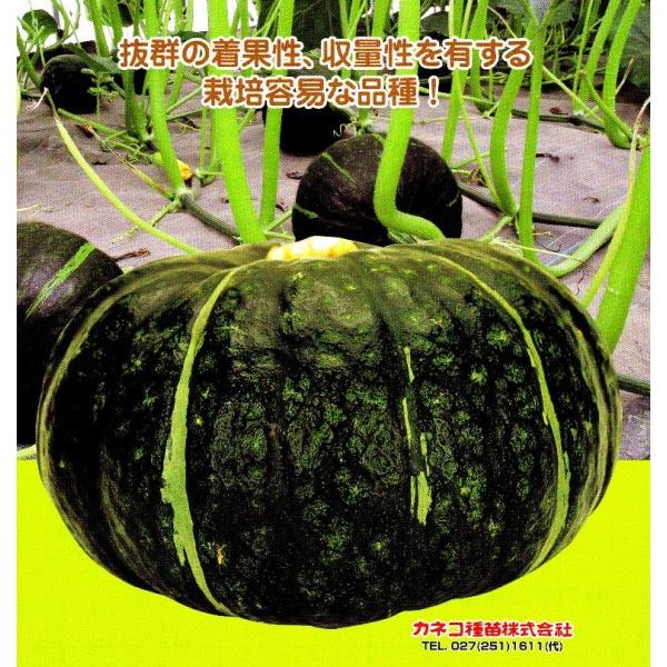 yJ{`qz@JlRz@IܘYi育낤j@500@V^l͎q؂ւ1ȍ~̂͂\