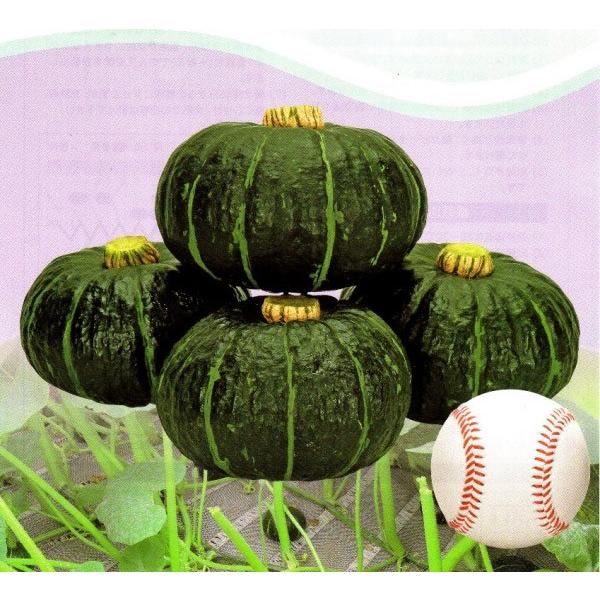 yJ{`qz@JlRz@pvLbY@500@V^l͎q؂ւ1ȍ~̂͂\