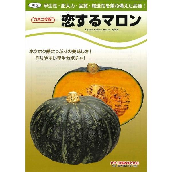 yJ{`qz@JlRz@}@܂X@V^l͎q؂ւ1ȍ~̂͂\