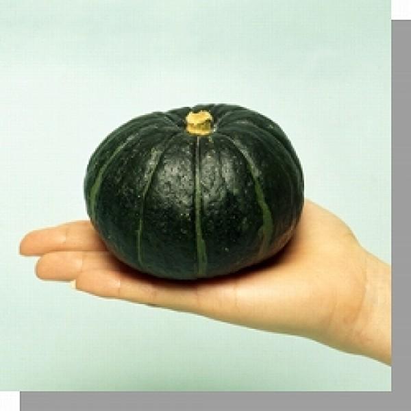 y~jJ{`qz ݂ǌz@V@500@V^l͎q؂ւ1ȍ~̂͂\