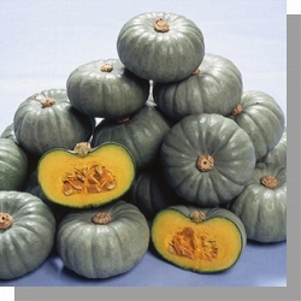 y~jJ{`qz ݂ǌz@V@100@V^l͎q؂ւ1ȍ~̂͂\