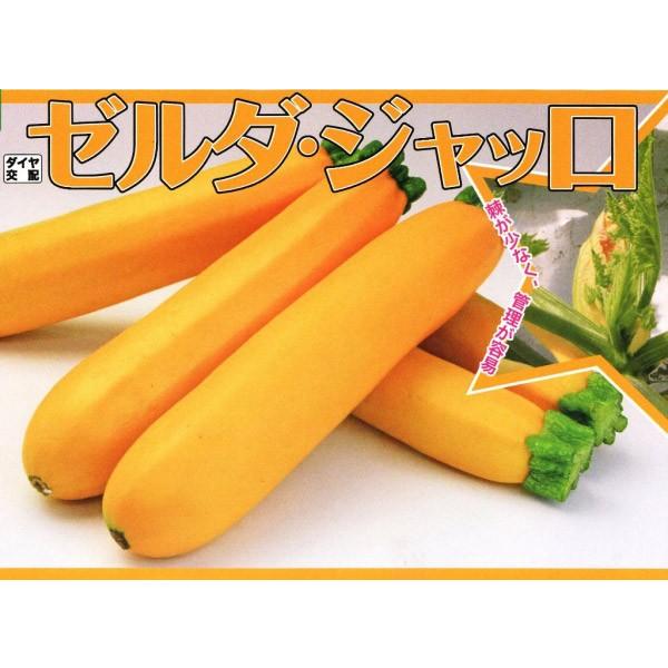 yYbL[jqz_CzigL^cj@u[_EWbv@100@V^l͎q؂ւ1ȍ~̂͂\