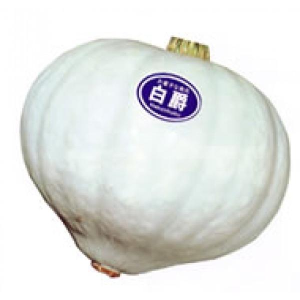 yJ{`poחpށznӍ̎@݁i͂Ⴍj@oחpV[1000