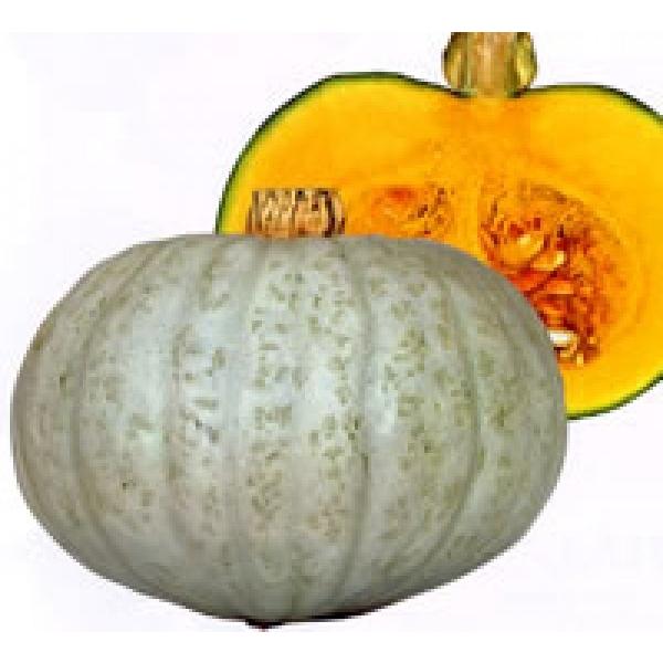 yJ{`poחpށznӍ̎@uƂĂv@oחpV[100