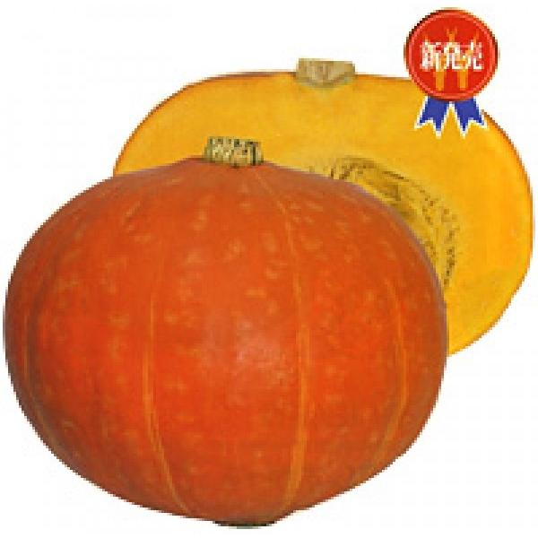 yJ{`qzzinӍ̎j@ug݁iႭjv@ 500@@V^l͎q؂ւ1ȍ~̂͂\