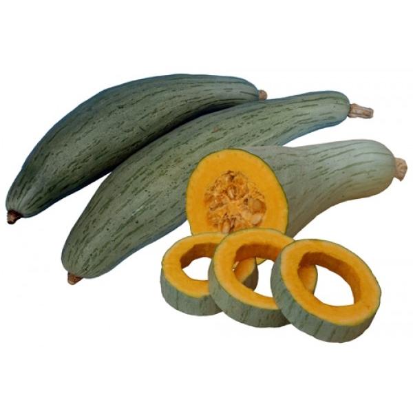 yJ{`qzigc@u×iイjv100@͂1{ȍ~ƂȂ܂B