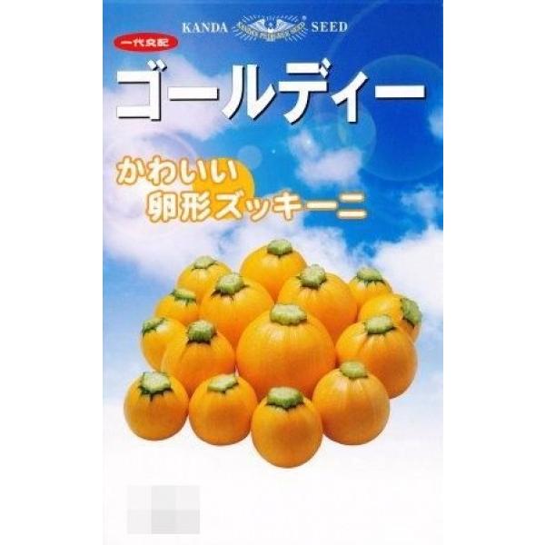 yYbL[jqz_cz@ی^̃YbL[j@uS[fBv@10@V^l̂͂1ȍ~\