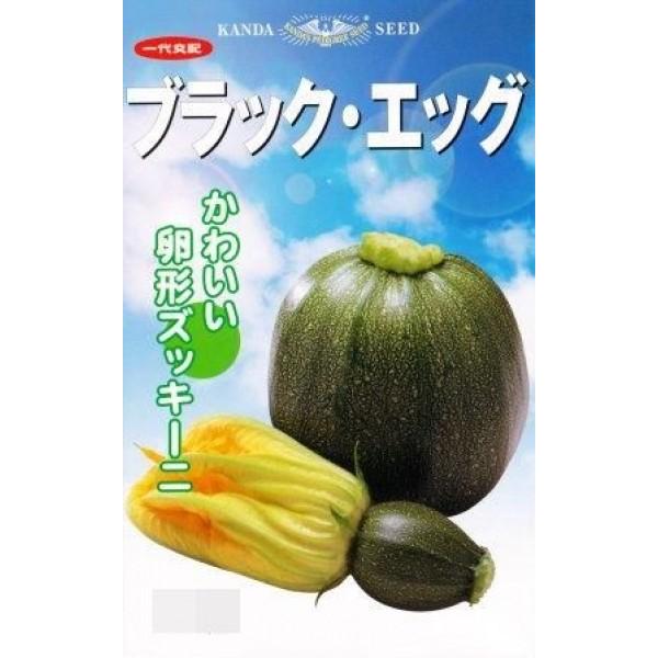 yYbL[jqz_cz@ی^̃YbL[jIuubNGbOv@100@V^l̂͂1ȍ~\