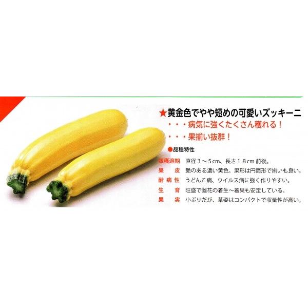 yYbL[jqz_cz@uS[fB{[v@100@V^l̂͂1ȍ~\