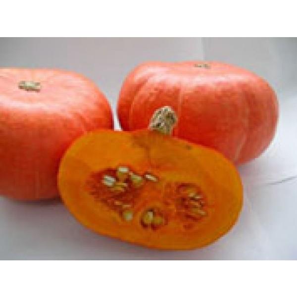 yJ{`qzcuSB3004闢v@100@V^l1ȍ~̂͂\