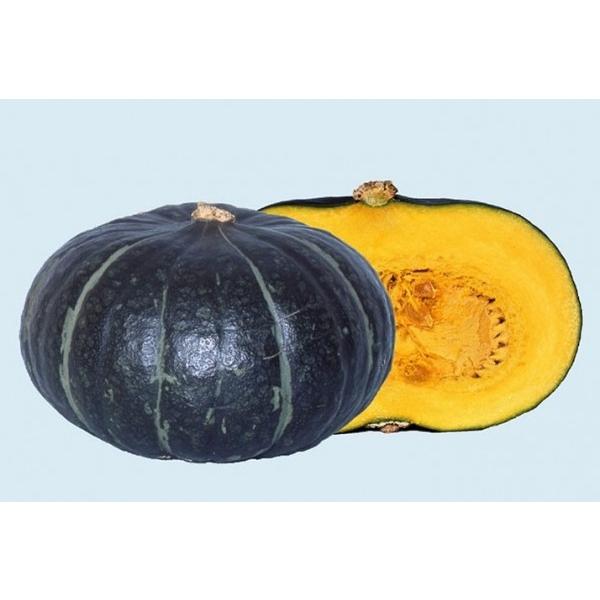 yJ{`qznӍ̎@z@uWFWFiiWFWFWFCjv@100@@PVPo^i큚1ȍ~̂͂\