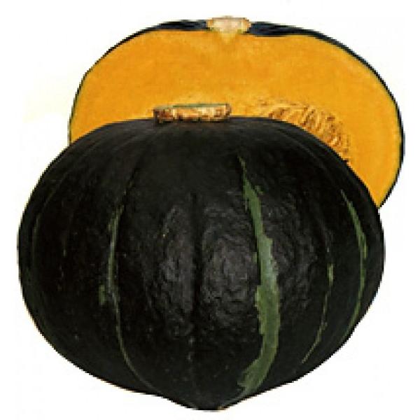 yJ{`qzzinӍ̎j@u_[Nz[Xv@100@sV^l͎q؂ւ1ȍ~̂͂\