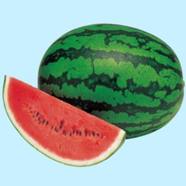 yXCJqz^LCz@g܂iׂɂ܂j@200@V^l͎q؂ւ1ȍ~̂͂\