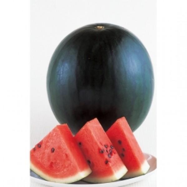 yXCJqzTJ^z@@炷@u^q`v@܁@V^l̐؂ւ1ȍ~̂͂\