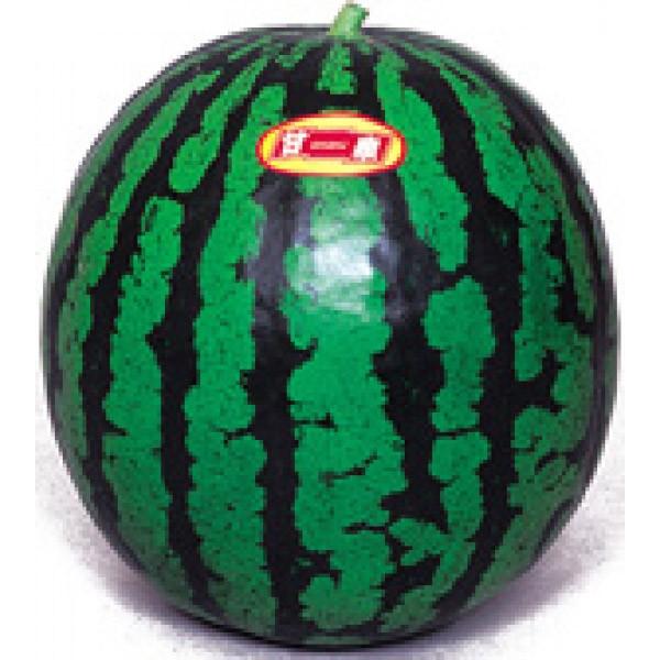 yʃXCJqz@Fziێj@Ði񂹂j@܁@V^l͎q؂ւ1ȍ~̂͂\