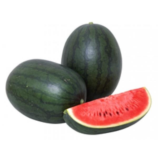 yʃXCJqz@Fziێj@{S @܁@V^l͎q؂ւ1ȍ~̂͂\