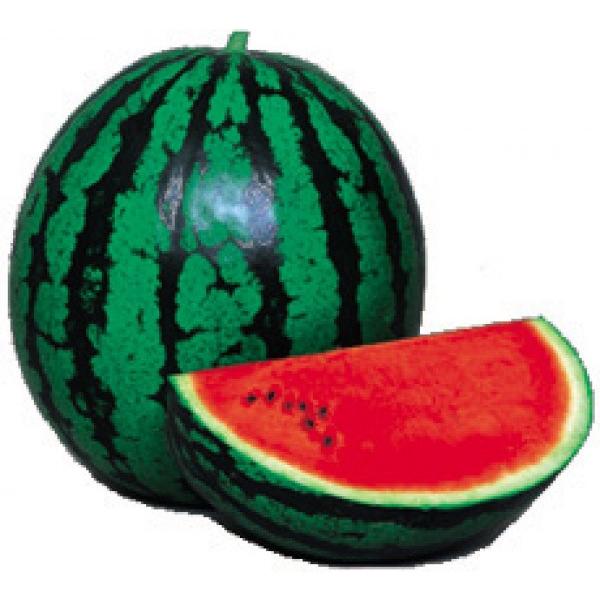 yʃXCJqz@Fziێj@CÐ@܁@V^l͎q؂ւ1ȍ~̂͂\