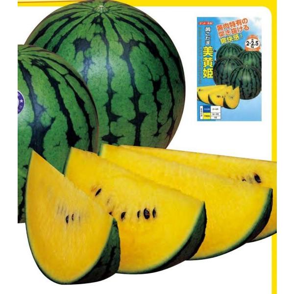 yʃXCJqzigz@uPvi݂Ђ߁j@7@@V^l͎q؂ւ1ȍ~̂͂\