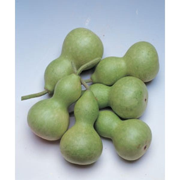 yqE^qz@^LCc@琬O@@MF܁i36j V^l͎q؂ւ1ȍ~̂͂\