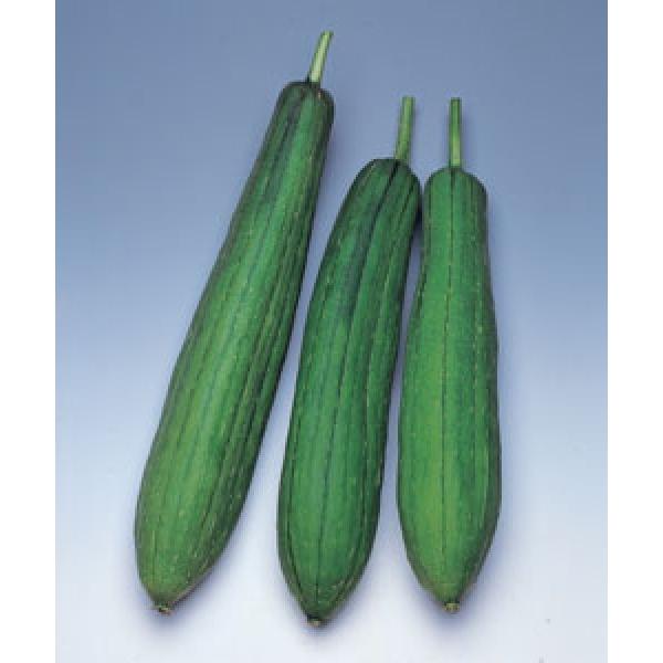 yw`}qz@^LCc@ւ܁@MF܁i35j@V^l͎q؂ւ1ȍ~̂͂\