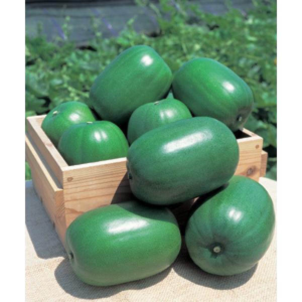 ygEKqz^LC琬@PƂ@100@V^l̂͂1ȍ~\