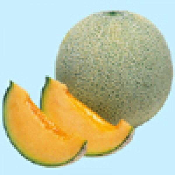 yqz^LCz@@mîj@DF܁i6j@V^l͎q؂ւ1ȍ~̂͂\