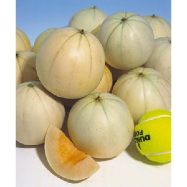 y~jqz^LCz@@킢[ii킢[ȁj@100@