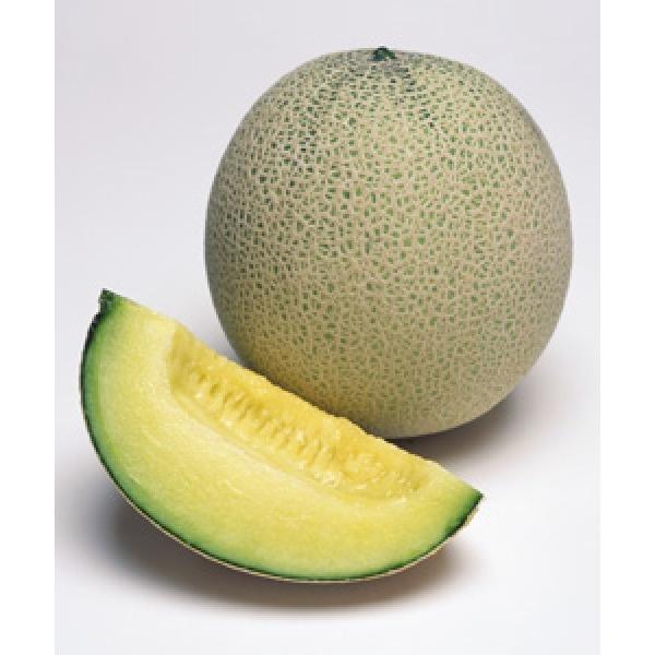 yqz^LCz@@piTFiςȁj@100@[J[/s@V^l͎q؂ւ1ȍ~̂͂\@