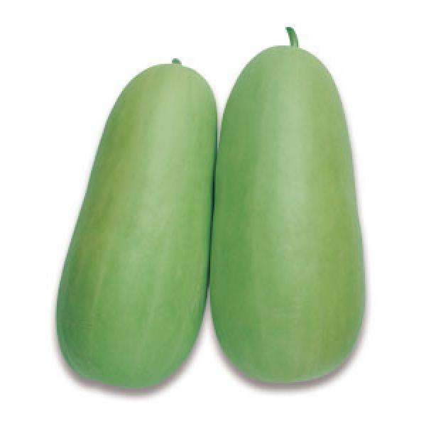 yZi낤jqz^LCc@@uڔZiʂ܂߂낤jv@500@V^l͎q؂ւ1ȍ~̂͂\