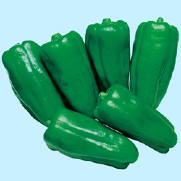 ys[}qz@^LCz@gi傤Ȃ݁jDF܁i45jV^l͎q؂ւ12ȍ~̂͂\