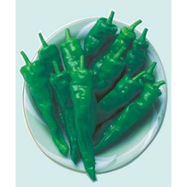 ygEKVqz^LCz@@ÂƂli܂ƂтjDF܁i35mlj@V^l͎q؂ւ12ȍ~̂͂\