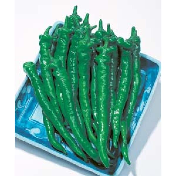 ygEKVqz^LCz@Òiӂ݂܂Ȃj2000@V^l͎q؂ւ12ȍ~̂͂\