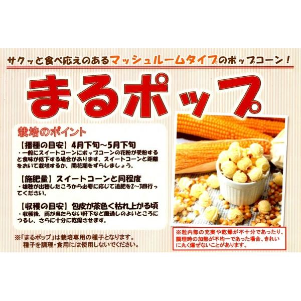 y|bR[qzTJ^̃^l@}bV[^u}|bvi܂ۂՁjv@200@2ȍ~̂͂ƂȂ܂