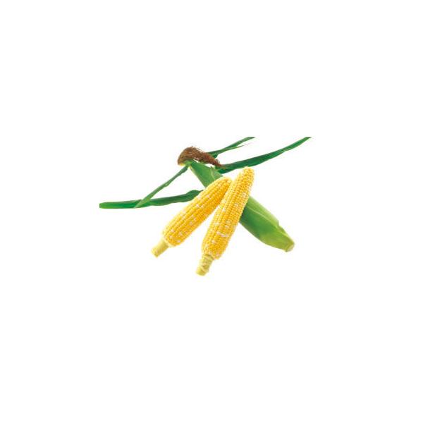 ygERVqzc@z@u80v100@V^l2ȍ~