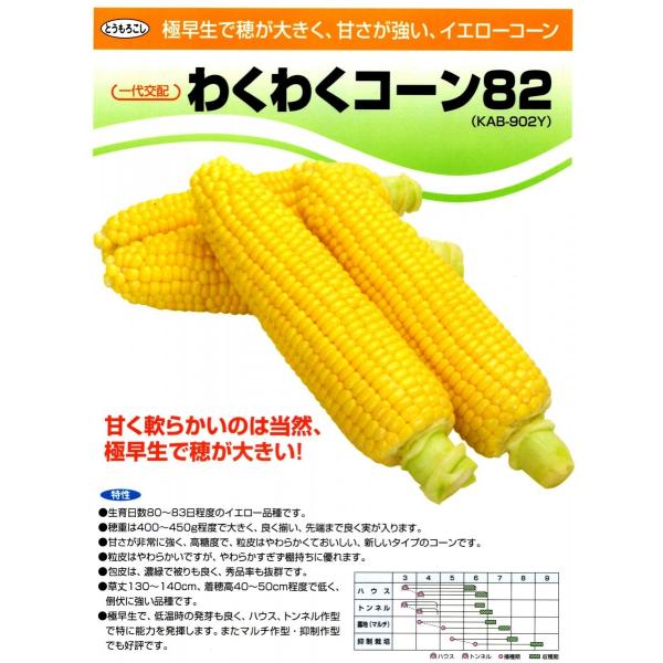 ygERVqzJlRz@u킭킭R[82v@100@1ȍ~̂͂ƂȂ܂