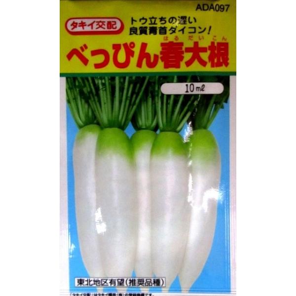 ダイコン】タキイ種苗 べっぴん春大根二号 （東北専売品種） 20ml ☆新