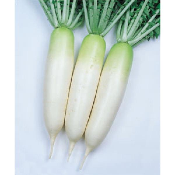 y_CRqz^LCz@u΋Pijv@RF܁i9mlj@V^l6{ȍ~ƂȂ܂