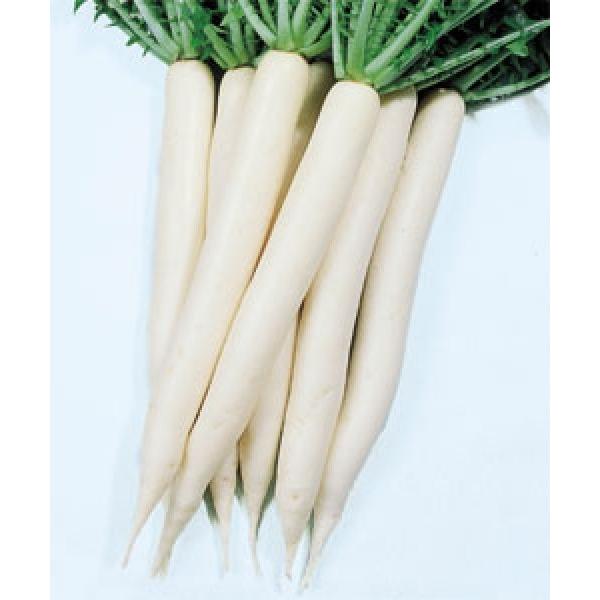 y_CRqz^LCz@uHi͂イjv@DF܁i18mlj@V^l̂͂6ȍ~ƂȂ܂