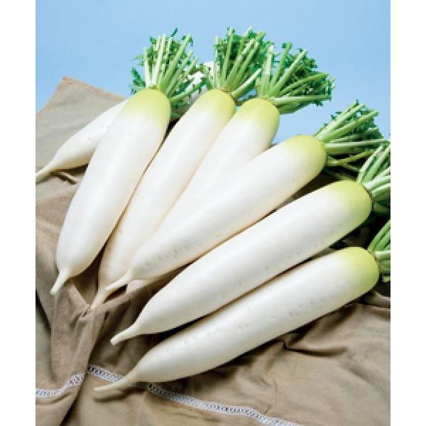 y_CRqz^LCz@_yincJOj@2@V^l7ȍ~̂͂ƂȂ܂