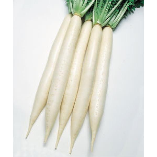 y_CRqz^LCz@ϕaziт傤ق肻j2@V^l̂͂6ȍ~ƂȂ܂