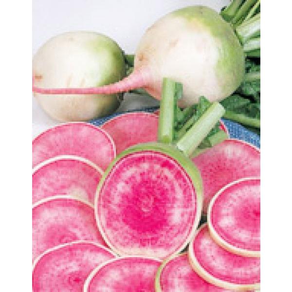 y_CRqzTJ^̃^l@卪uVgS2iĂ񂠂񂱂jv܁@H܂pi@͂7ȍ~\