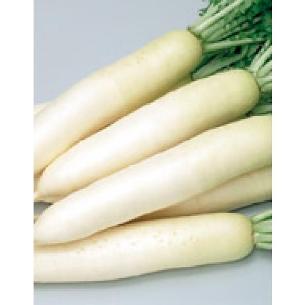 y_CRqzTJ^z@uĂ̂iȂ̂jv@20ml