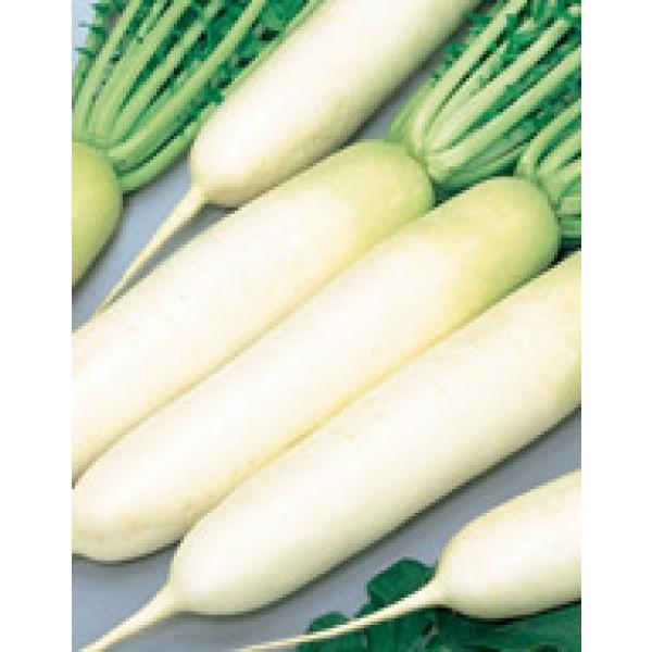 y_CRqzTJ^z@uĐi񂩂сjv@@20