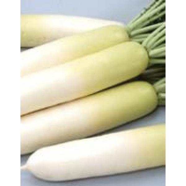 y_CRqzTJ^z@@u~iӂ䂵jv@܁@V^l7ȍ~̂͂ƂȂ܂