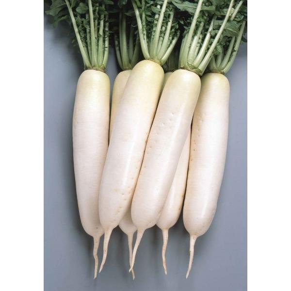 y_CRqzTJ^zuĂ̎iȂ̂݁jv800@_ѐYb܎܁@HpƂĂ̐V^l7