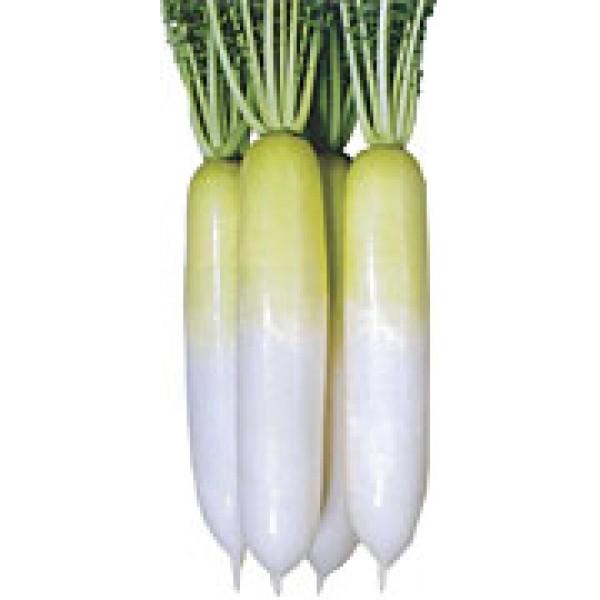 y_CRqz@JlRz@@~l@R[gq_5000@V^l6ȍ~̂͂ƂȂ܂