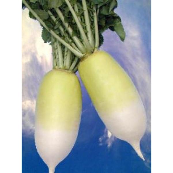 y_CRqz  ATqz@uǎlG̖îjv@Z`卪@܁i3mlj