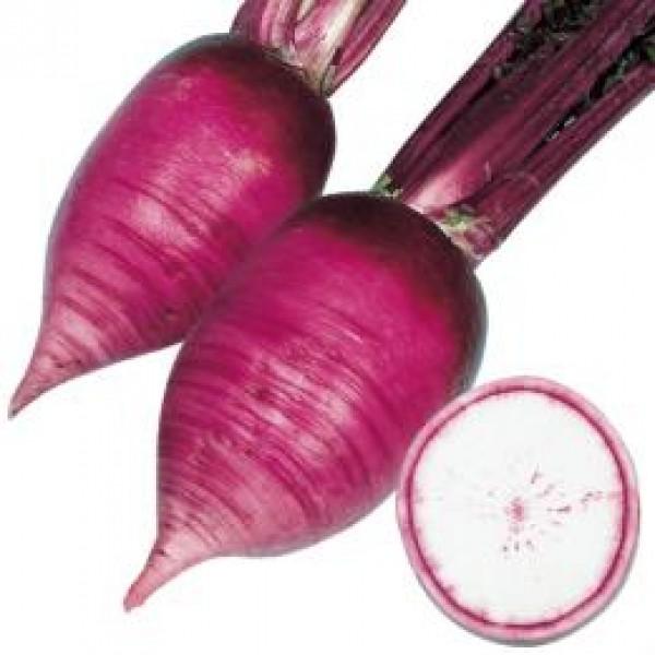 y_CRqzzinӍ̎j@h卪i݂j@u炢ːԁv@6ml@