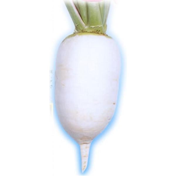 y_CRqzzinӍ̎j@h卪i݂j@u炢ˁv@